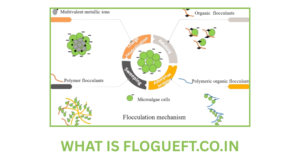 What is Flogueft.co.in? A Real Review, Safety Check, and User Guide
