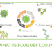 what is flogueft.co.in